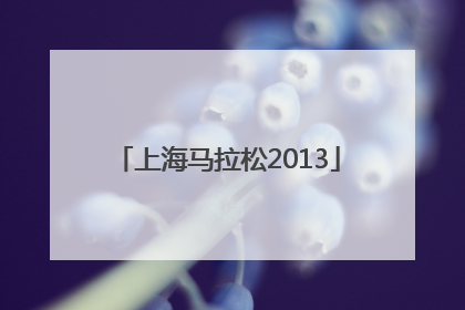 「上海马拉松2013」上海马拉松报名入口2022