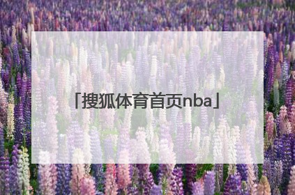 「搜狐体育首页nba」搜狐体育首页下载