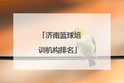 「济南篮球培训机构排名」南京篮球培训机构排名