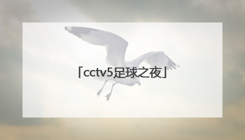 「cctv5足球之夜」CCTV5足球之夜