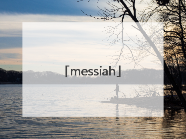 「messiah」messiah是什么意思